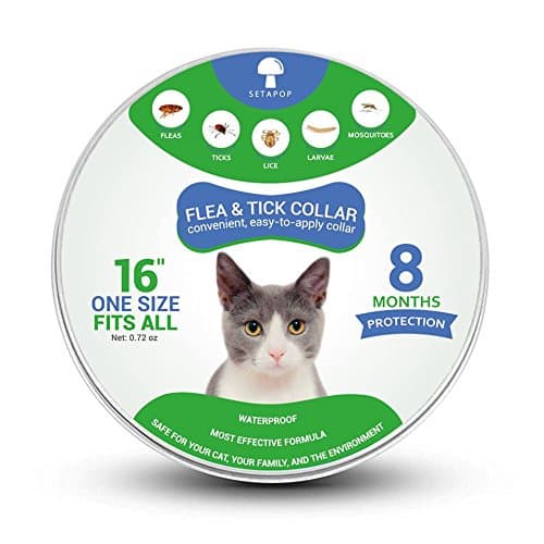Flea and Tick Collar for Cats, Prevention and Control Fleas, Ticks, Lice and Pests for 8 Months, Hypoallergenic and Safe Design, 1 Size Fully Adjustable Waterproof Kitten Collar
