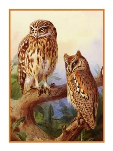 Scops Owls by Archibald Thorburn Bird Counted Cross Stitch Pattern