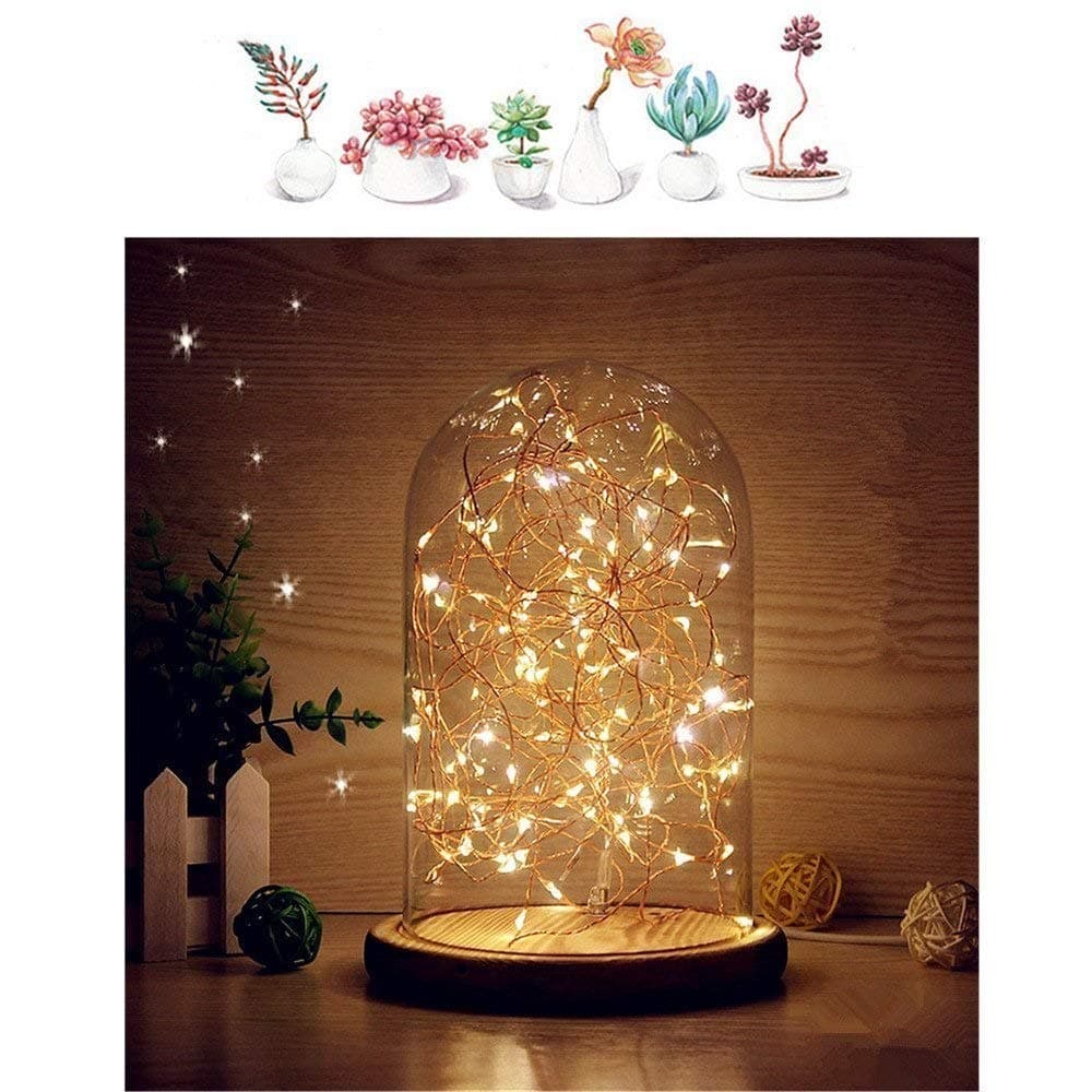 Glass Dome Bedside Table Lamp Bell Jar Display Dome Bamboo Base String USB LED Decorative Lamp with LED Warm Fairy Starry String Lights ideal for Decoration Anywhere By Erosom.(Warm White)