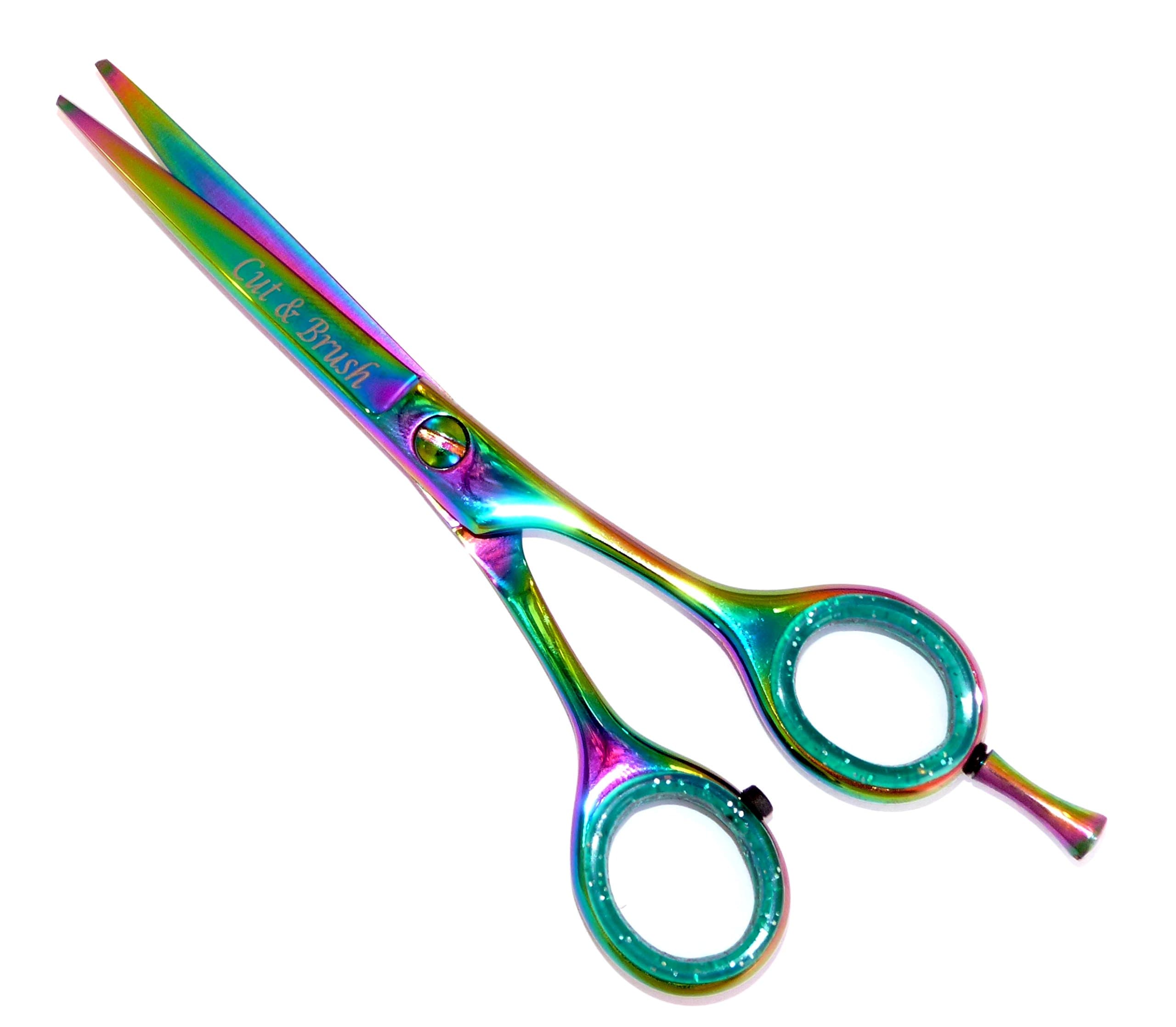 Professional Hairdressing scissors Rainbow Titanium